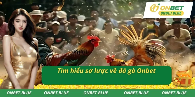 Giới thiệu sơ lược về đá gà Onbet 